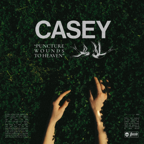 Casey : Puncture Wounds to Heaven